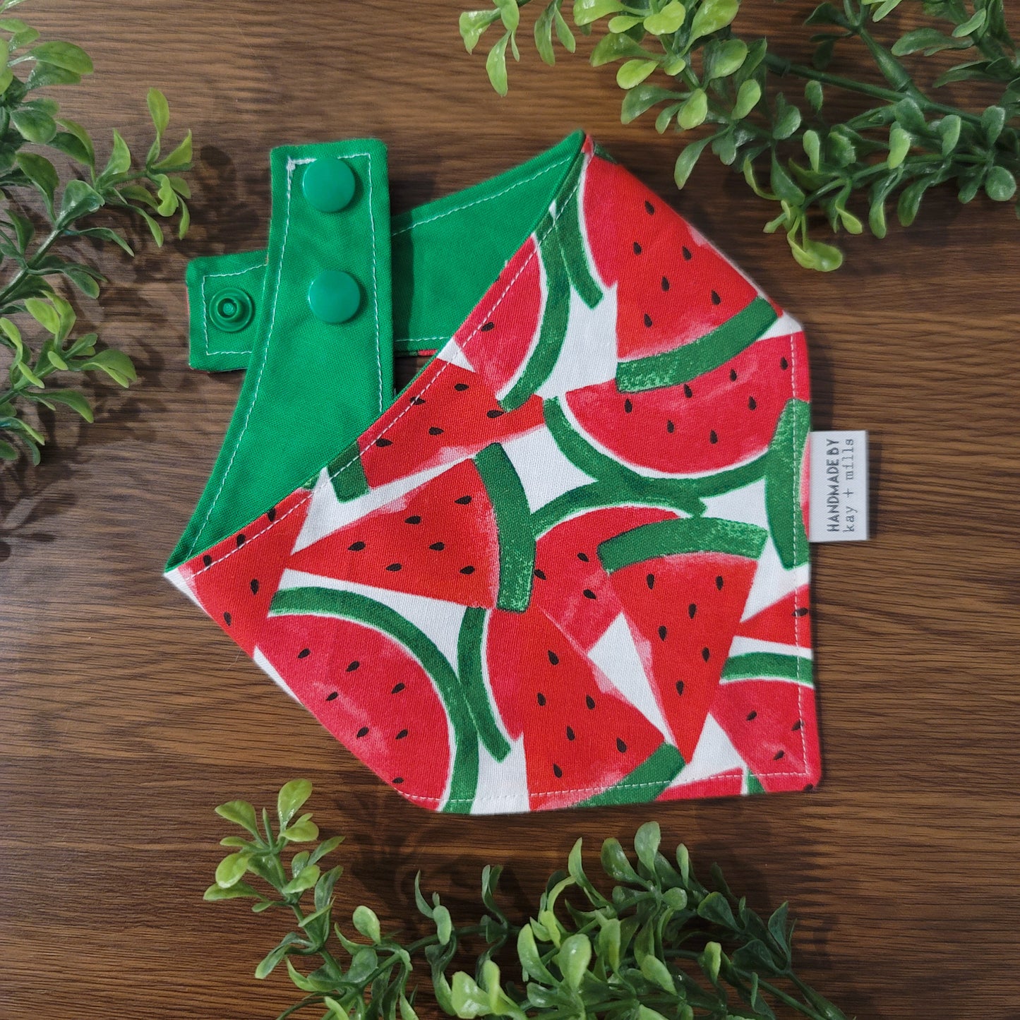 Watermelon Slices