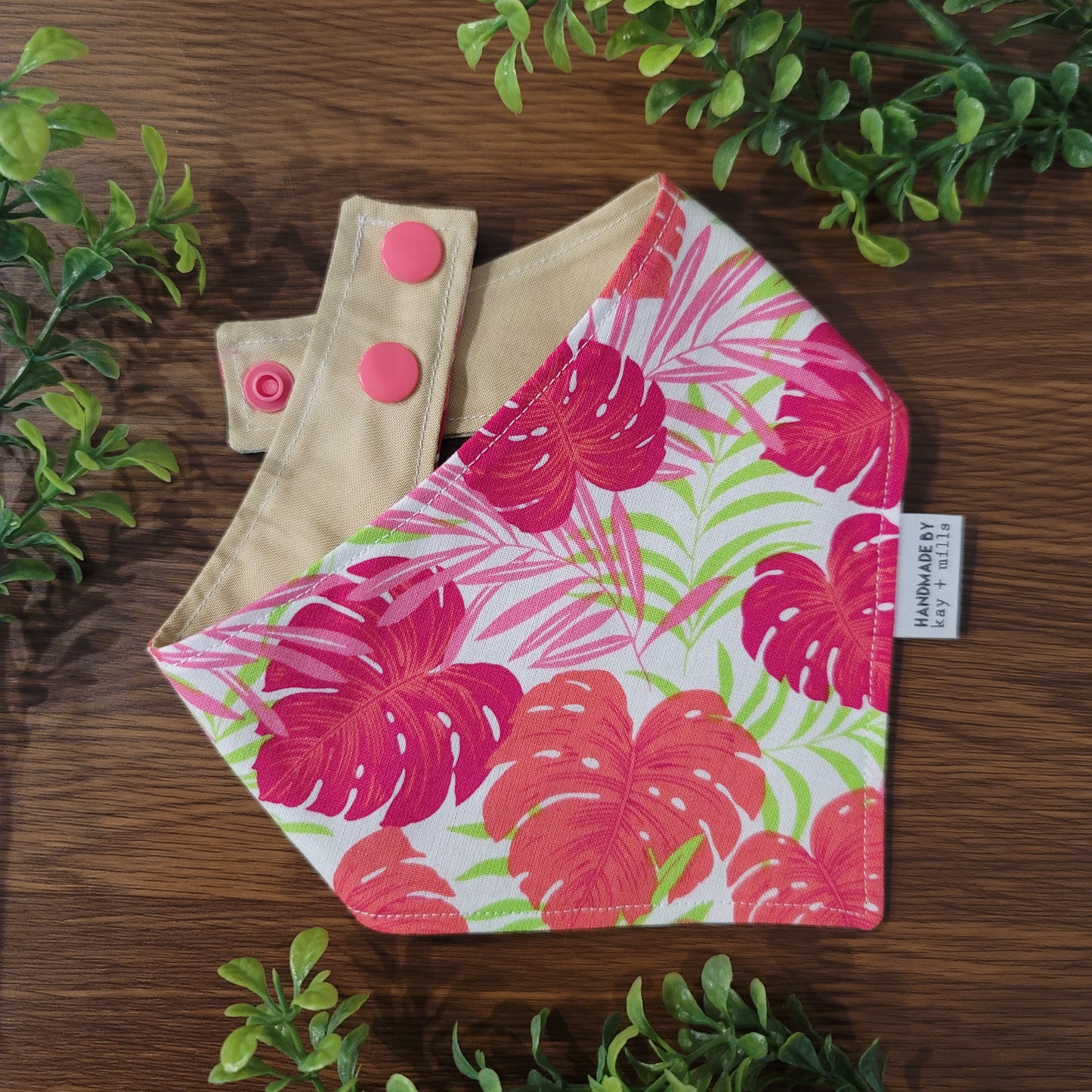 Hot Tropics