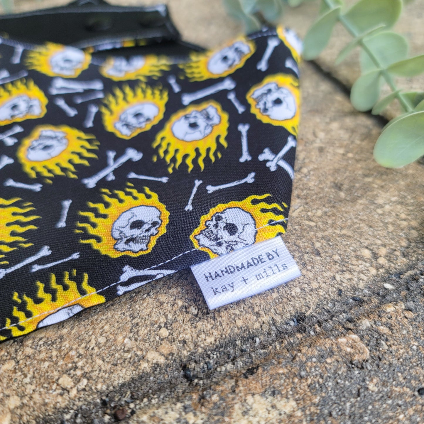 Skulls on Fire!