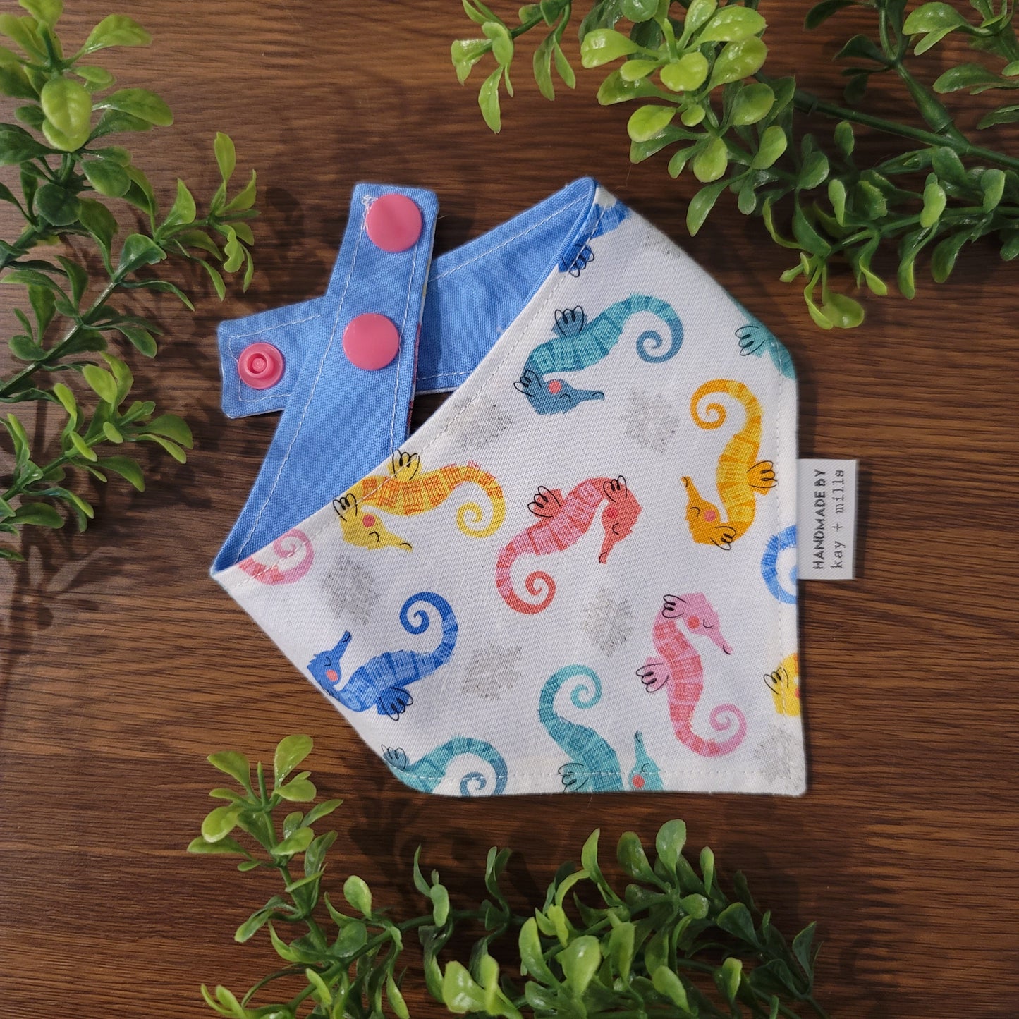 Seahorse Scatter