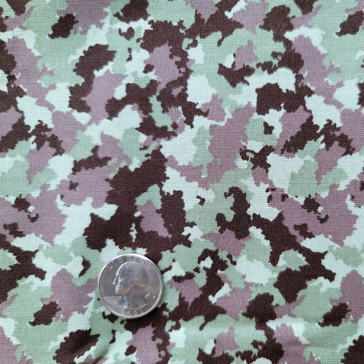 Camo 1