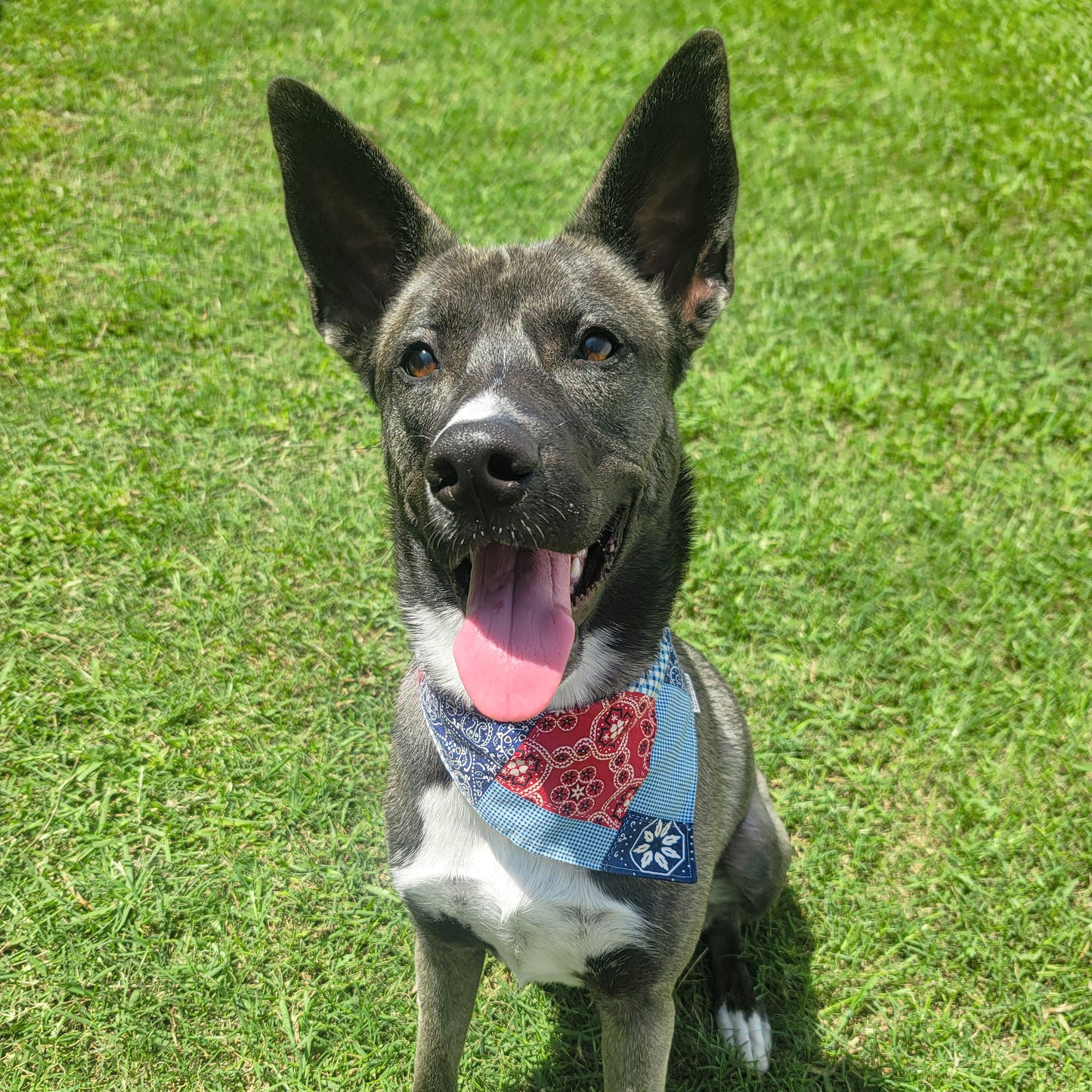 Patchwork Bandana