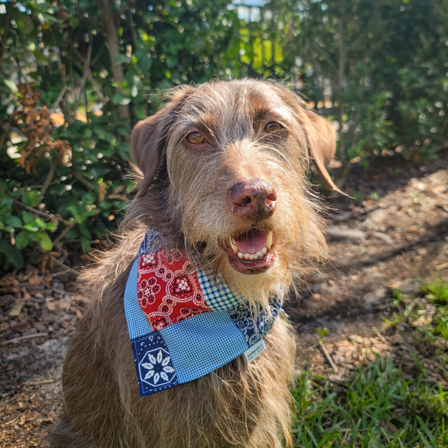 Patchwork Bandana