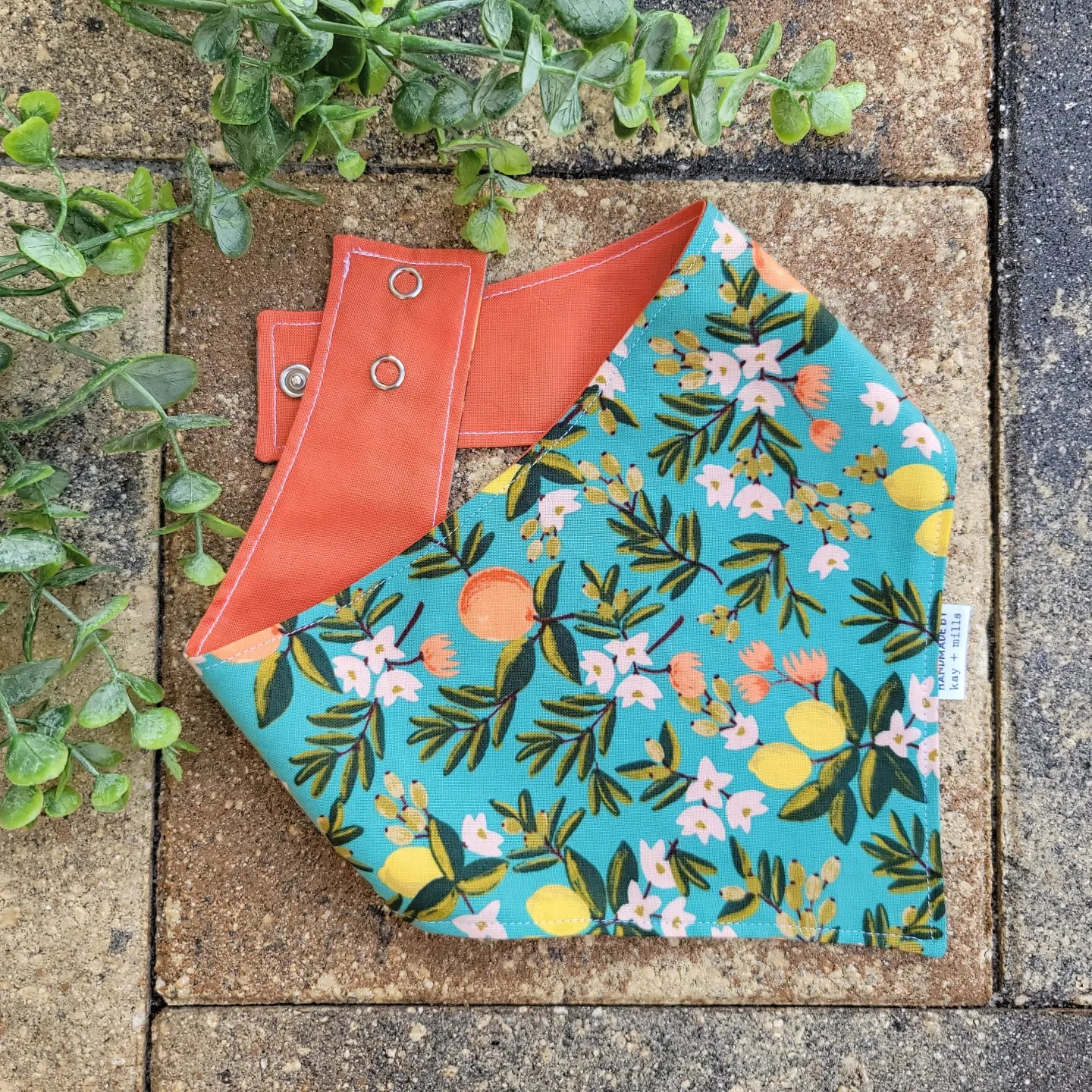 Summertime Citrus